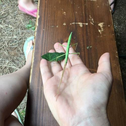 Taborjenje gasilske mladine 2016 - 2. dan