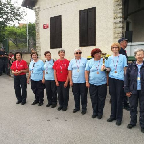 Regijsko tekmovanje Gasilske regije Dolenjska (GRD)