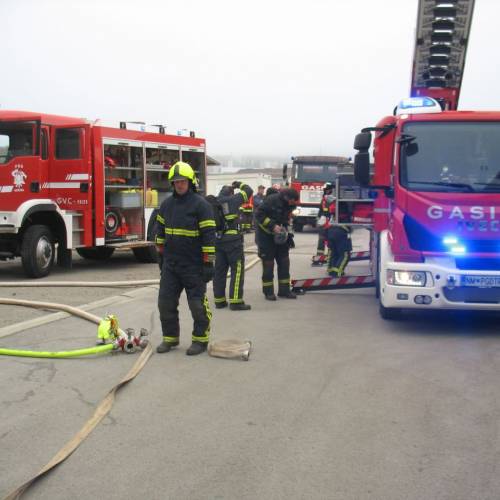 Vaja Gasilske zveze Trebnje letos na Mirni