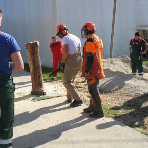 Tečaj za varno delo z motorno žago