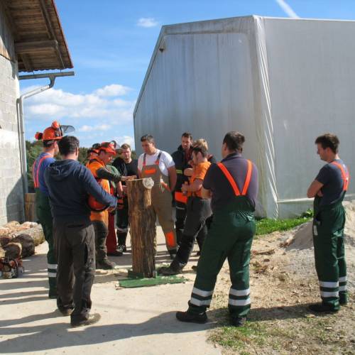 Tečaj za varno delo z motorno žago