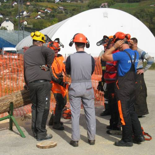 Tečaj za varno delo z motorno žago