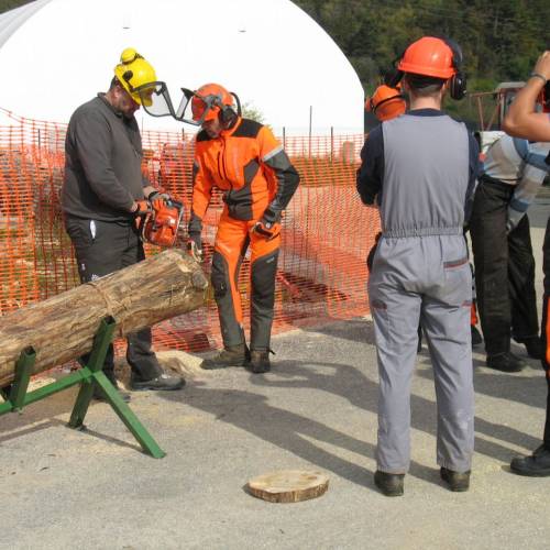 Tečaj za varno delo z motorno žago