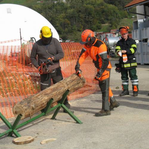 Tečaj za varno delo z motorno žago