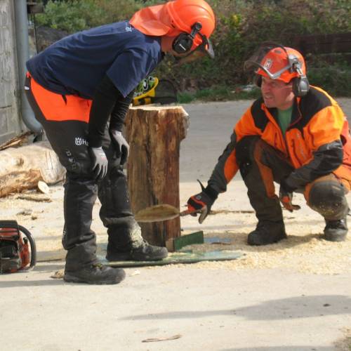 Tečaj za varno delo z motorno žago