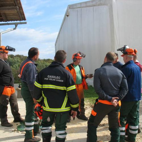 Tečaj za varno delo z motorno žago