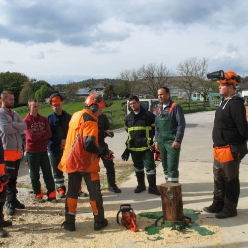 Tečaj za varno delo z motorno žago