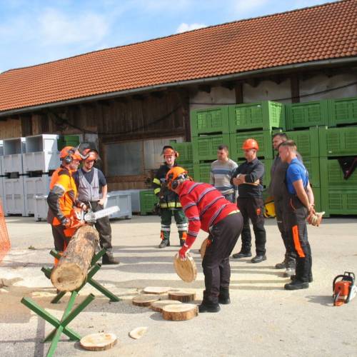 Tečaj za varno delo z motorno žago