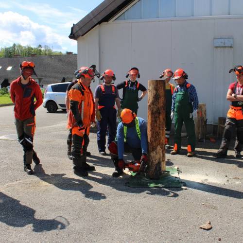 Tečaj za varno delo z motorno žago