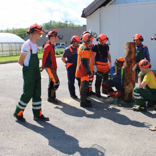 Tečaj za varno delo z motorno žago