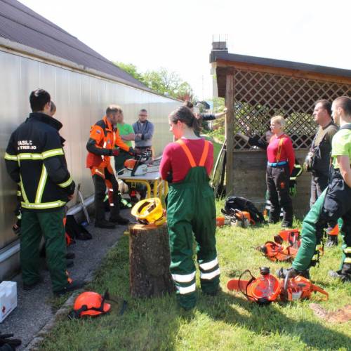 Tečaj za varno delo z motorno žago