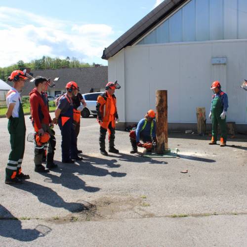 Tečaj za varno delo z motorno žago