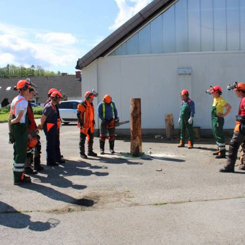 Tečaj za varno delo z motorno žago