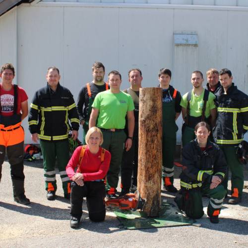 Tečaj za varno delo z motorno žago