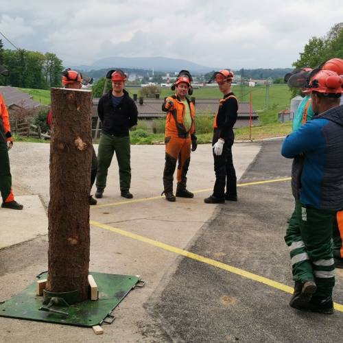 Opravili tečaj za varno delo z motorno žago