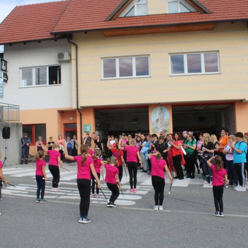 GASILKE NA REGIJSKEM POHODU