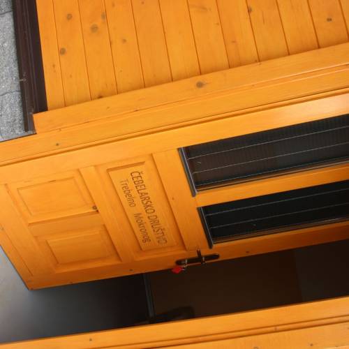 GASILKE NA REGIJSKEM POHODU