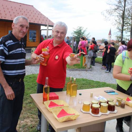 GASILKE NA REGIJSKEM POHODU