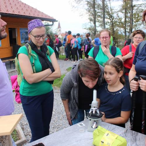 GASILKE NA REGIJSKEM POHODU