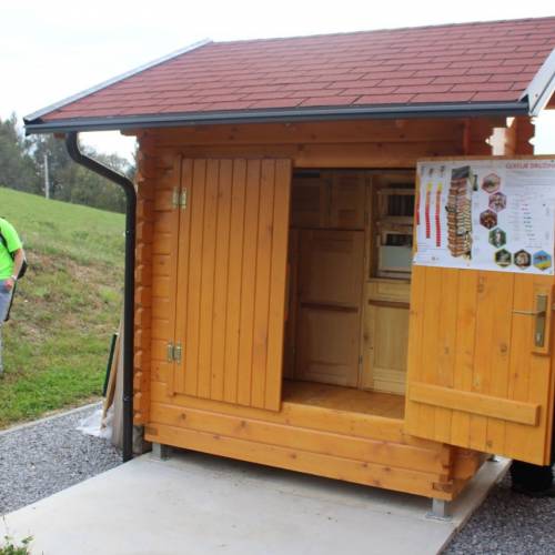 GASILKE NA REGIJSKEM POHODU