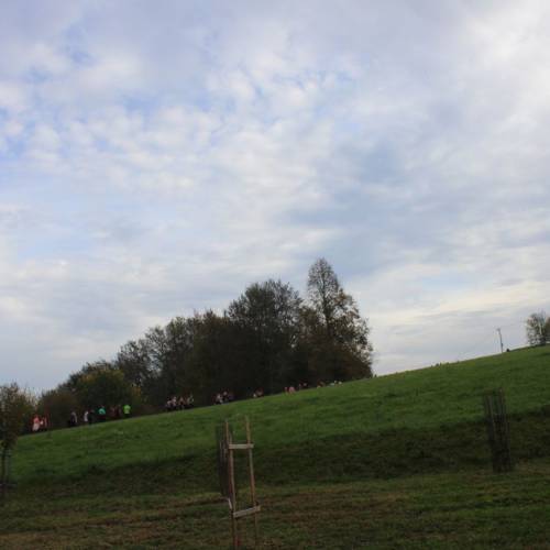 GASILKE NA REGIJSKEM POHODU