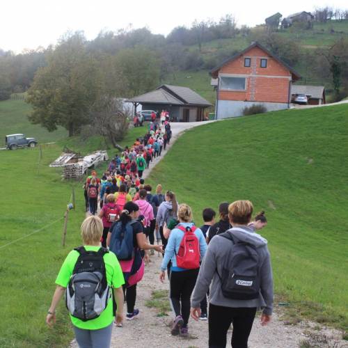 GASILKE NA REGIJSKEM POHODU